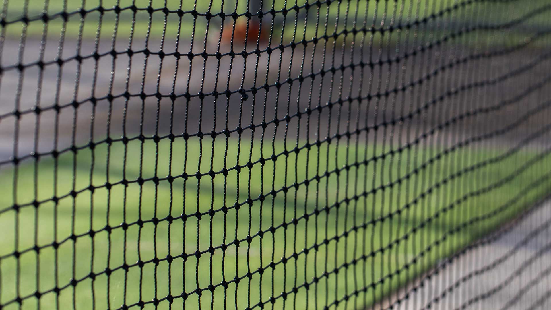 Bird Netting